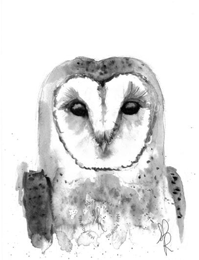 Coruja: “Tyto furcata”